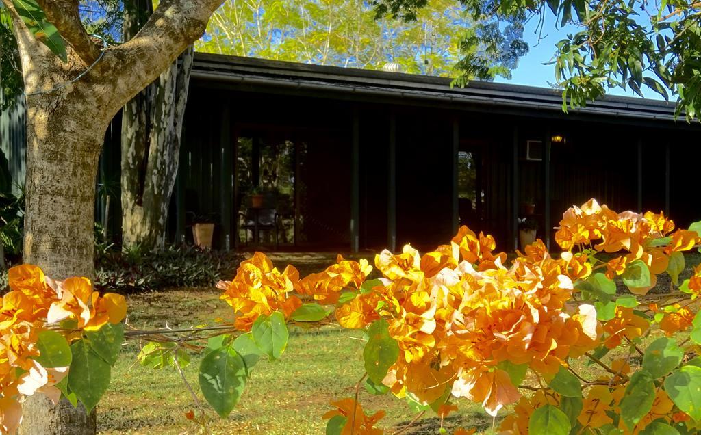 Lagoon Pocket Bed & Breakfast Exterior foto