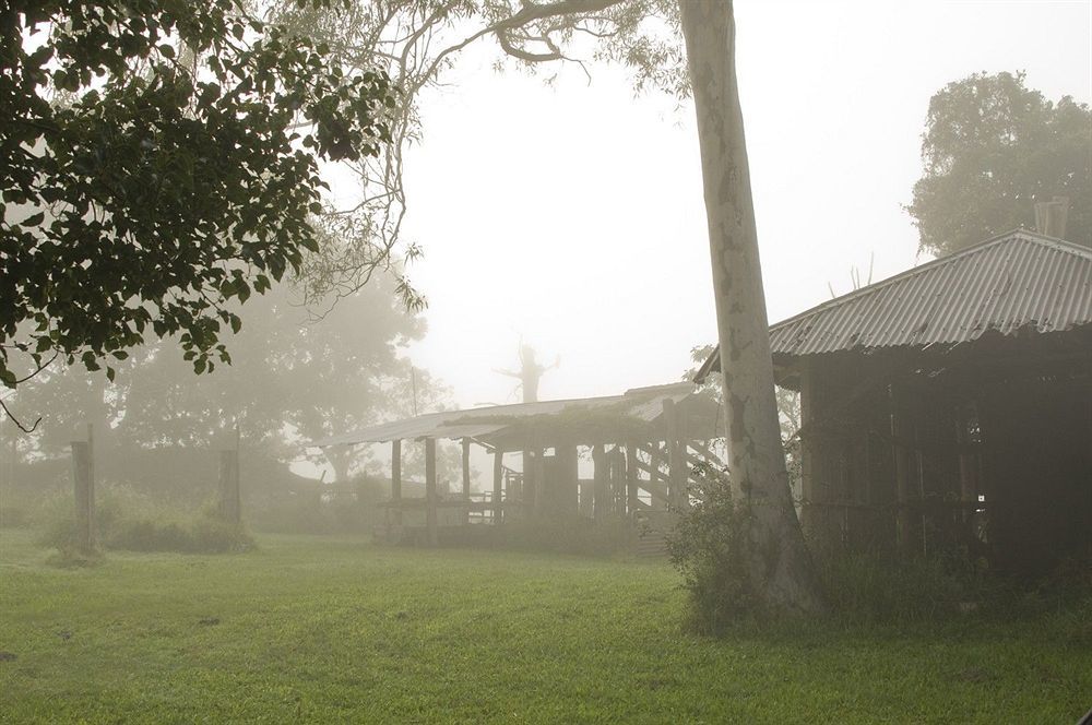 Lagoon Pocket Bed & Breakfast Exterior foto